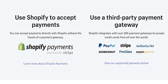 Wordpress Vs Shopify: Which One To Choose For eCommerce Website Development