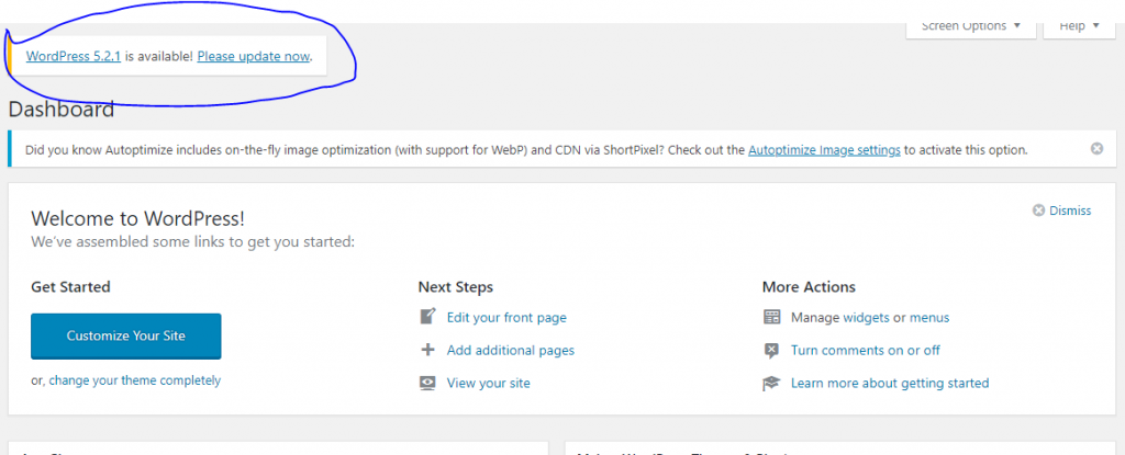 Install WordPress Updates Regularly