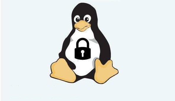 Linux VPS Hosting in 2026: Benefits, Costs, Security and How to Choose Why You Need the Affordable and Robust Linux VPS Server for Your Business