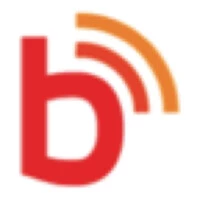Buzzinga Digital-Top SEO Agency in Mumbai